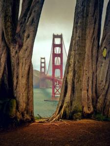 Best Views of the Golden Gate ... http://t.co/H6IHqpUhPM -More real than life HDR landscape &amp; travel photography. http://t.co/s4EgwIfrGD