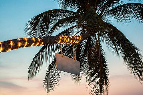 Palm with flashlights on the beach. Thailand.
