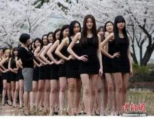 画面太美！韩模特集体在樱花树下秀大长腿<br />在韩国大田，一大学模特专业的女学生在樱花树下上课，秀大长腿展示姣好身材；与此同时，在中国<br />http://t.co/oPPLDUKRTz http://t.co/ZxqqCw3rWy