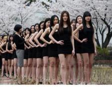 好多美腿！韩国模特学生樱花树下练猫步<br />2015年4月7日，韩国大田，一所大学的模特专业女学生在樱花树下上课，秀大长腿展示姣好身材<br />http://t.co/qw6zHzHarV http://t.co/IkGBjoKHXk