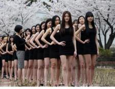 韩国模特女学生樱花树下秀美腿展姣好身材<br />当地时间2015年4月7日，韩国大田，一大学模特专业的女学生在樱花树下上课，秀大长腿展示<br />http://t.co/4XNYHezA4i http://t.co/jFCV1SFGCi
