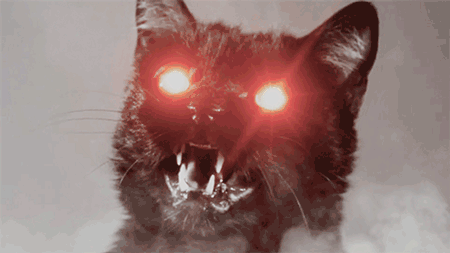 made: Donât mess with us.Â  Ahh, the freaking cat roar!