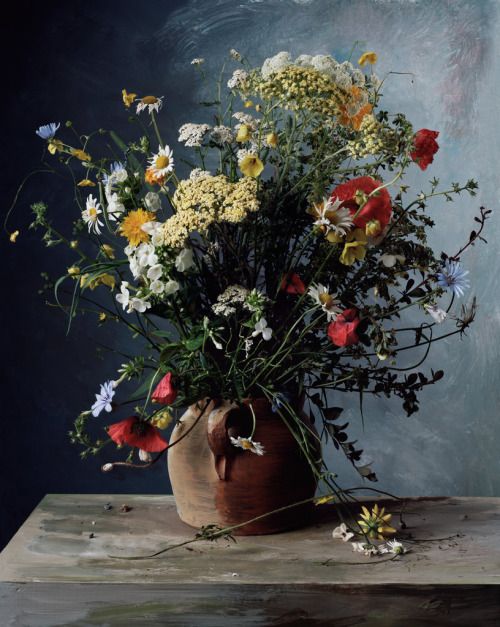 tmagazine: Sharon Core, courtesy of Yancey Richardson Gallery Viewfinder | Floral Still-Lifes That Recall Old Masters Paintings See more here