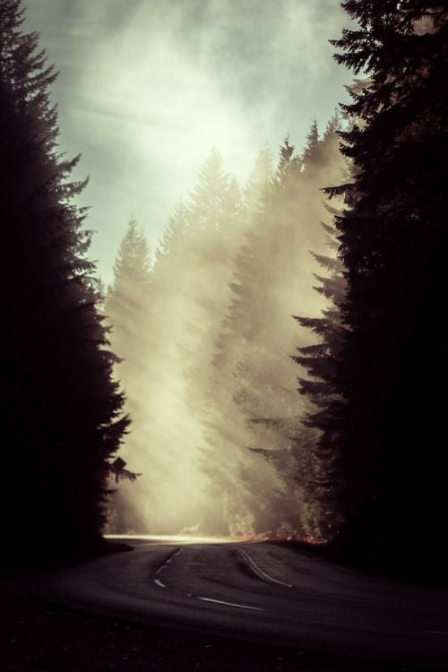 mystic-revelations: Forest Clouds (by moonstream)