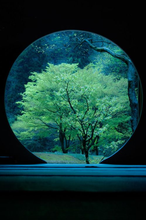 musts: Beauty of the tea house by Yasuhiko YarimizuJapan