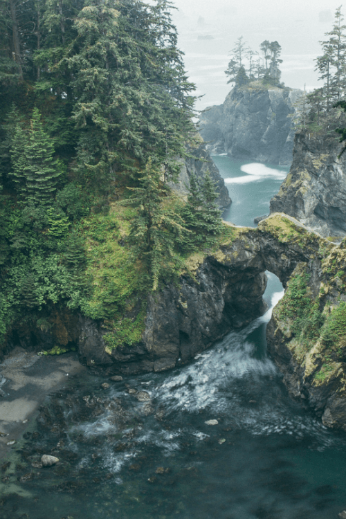 expressions-of-nature: Oregon Coast byÂ Maryanne Gobble