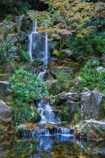bobcronkphotography: Japanese Gardens - Portland, OR