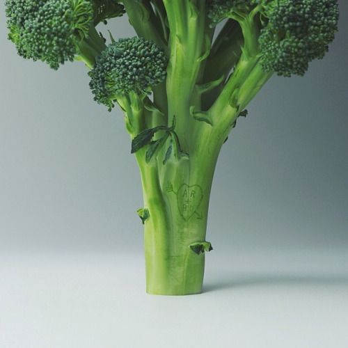 brockdavis: broccoli carving for my sweetheart #broccolicarving