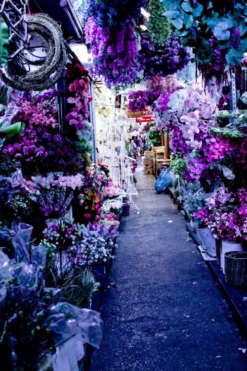 purple market thailand