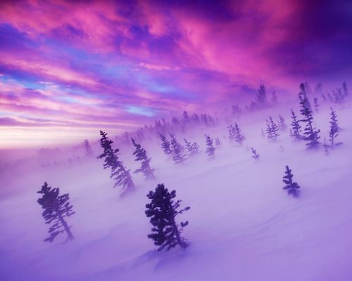 earthlynation: The Winter Tempest â Rocky Mountains, CO (by Light of the Wild)
/tmp/UploadBeta4YfNxk [earthlynation: The Winter Tempest â Rocky Mountains, CO (by Light of the Wild)] url = http://40.media.tumblr.com/32baa1085c074c0dcb9ff65ff3683db2/tumblr_n9cbzcEK021rw6hhbo1_500.jpg

File Size (KB): 21.71 KB
Last Modified: November 26 2021 18:30:28
