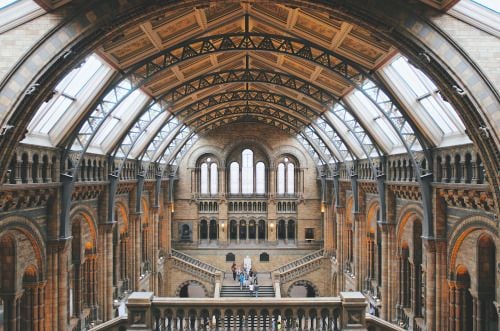 visualmischief: The Natural History Museum aka Hogwarts | London, UK