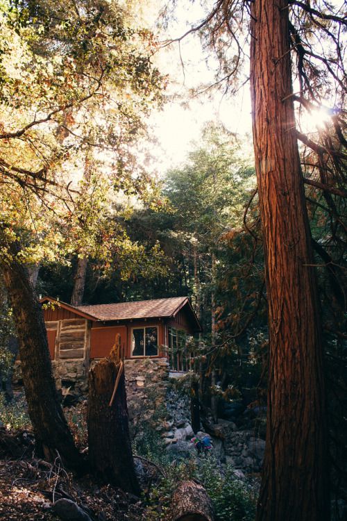 sitoutside: Lonely House Amidst Trees<br /> by  ChristopherGomez @tumb.epicks.item.045902343417561.ws