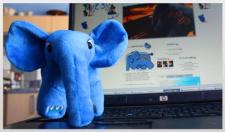 PHP Programming Elephant