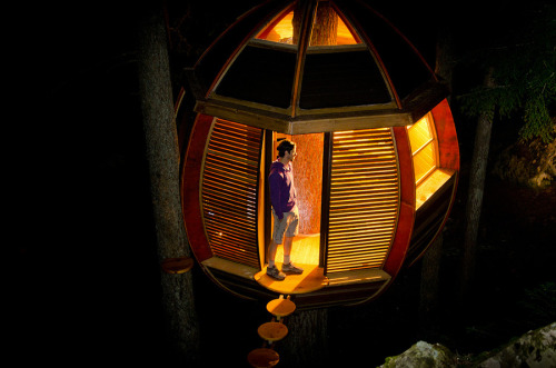 The HemLoft Treehouse. A wooden egg-shaped structure built... (Tree Houses)