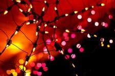Web of Lights by Kirk (A Season of Falling Leaves)