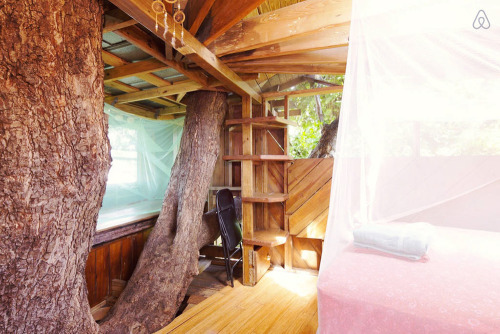 Treehouse Canopy in Permaculture Farm. Three level treehouse... (Tree Houses)