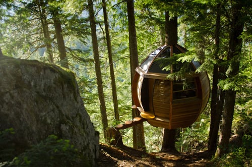 The HemLoft Treehouse. A wooden egg-shaped structure built... (Tree Houses)