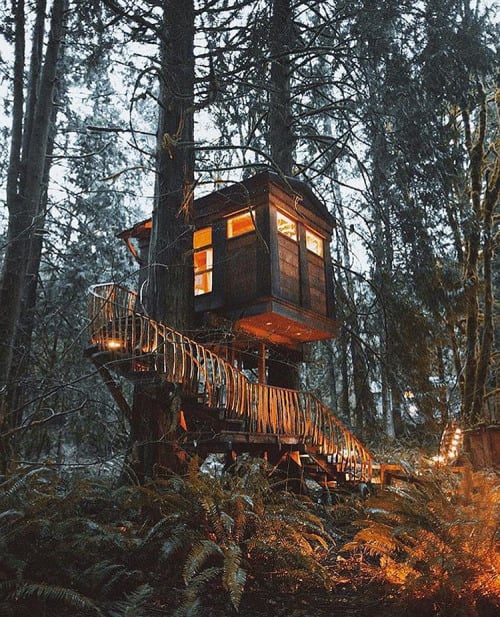 Hidden Treehouse. Located in Washington.A tree house, a free... (Tree Houses)