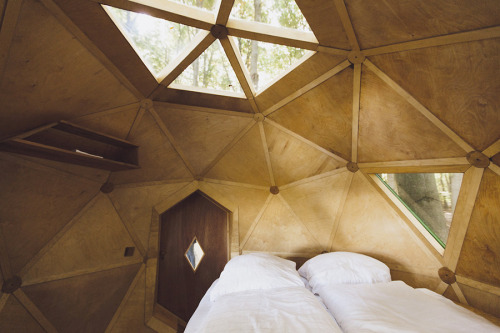 Baumhauskugel. A rustic ball-shaped treehouse in the forest of... (Tree Houses)