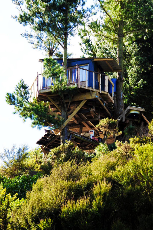 The Best Hut Treehouse. A treehouse made up of recycled... (Tree Houses)