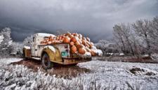 COLORADO, HERE WE COME! (Pic: Loukonen Farms Pumpkin Truck,... (A Season of Falling Leaves)