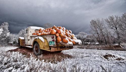 COLORADO, HERE WE COME! (Pic: Loukonen Farms Pumpkin Truck,... (A Season of Falling Leaves)
/tmp/UploadBetaAHfoUJ [COLORADO, HERE WE COME! (Pic: Loukonen Farms Pumpkin Truck,... (A Season of Falling Leaves)] url = https://farm6.staticflickr.com/5046/5361031558_52d82b89ca_b.jpg

File Size (KB): 429.16 KB
Last Modified: November 26 2021 17:22:14
