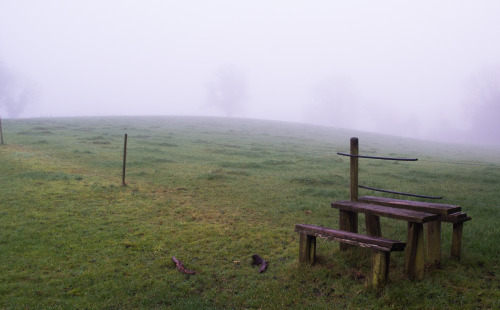 bastardlybrendan:<br /><br />A foggy day in Dunadry.  (Beautiful Landscape)
