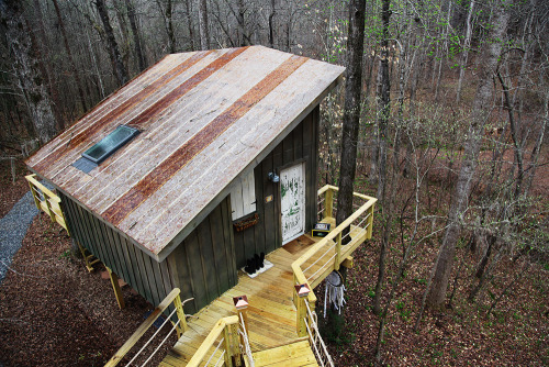 Walhalla Treehouse. A wonderful treehouse in a beautiful... (Tree Houses)