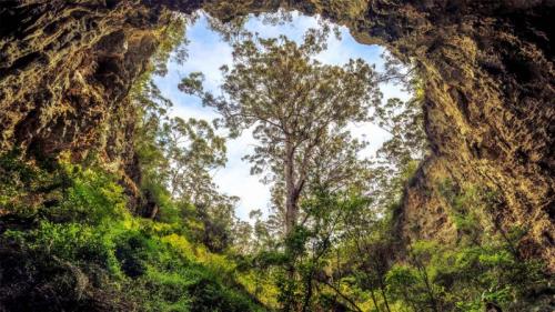 Giant karri tree at the entrance to a cave in Margaret River area, Western Australia (© Posnov/Getty Images) Bing Everyday Wallpaper 2019-07-28
/tmp/UploadBetaBIFvEq [Bing Everyday Wall Paper 2019-07-28] url = http://www.bing.com/th?id=OHR.KarriTree_EN-AU4785501631_1920x1080.jpg

File Size (KB): 316.77 KB
Last Modified: November 26 2021 18:38:37

