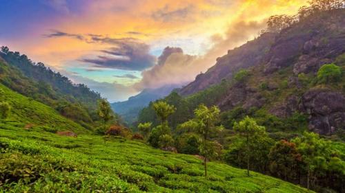 Tea plantation near Munnar, Kerala, India (© Peter Zelei Images/Getty Images) Bing Everyday Wallpaper 2024-03-28
/tmp/UploadBetaZVV7Bs [Bing Everyday Wall Paper 2024-03-28] url = http://www.bing.com/th?id=OHR.TeaPlantation_ROW4480341404_1920x1080.jpg

File Size (KB): 320.93 KB
Last Modified: March 28 2024 00:00:03
