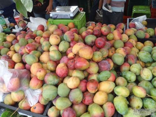 Sweet and sour mangos but I love them
mango-fruit.jpg [Food and Drink]

File Size (KB): 92.75 KB
Last Modified: November 26 2021 18:39:50
