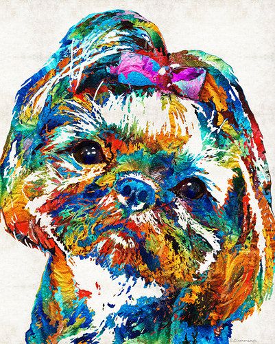 Colorful Shih Tzu Dog Art by Sharon Cummings