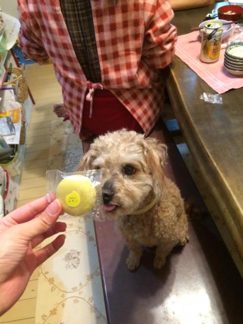 カリカリ甘美 メレンゲピエ <br />生やしてフリルのドレスで <br />踊るの舞夢 ローズ　ショコラ <br />生地挟んで溶け合うエンゼル <br />キラキラティンドン <br />マーブルマーチ <br />色とりどり小箱に詰められ
/tmp/UploadBetaEogESg [美胸]

File Size (KB): 64.64 KB
Last Modified: November 26 2021 18:31:25
