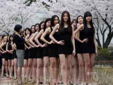 韩国模特女学生在樱花树下练台步秀美腿<br />当地时间2015年4月7日，韩国大田，一所大学的模特专业女学生在樱花树下上课，秀大长腿展示<br />http://t.co/l8E0c6ks9G http://t.co/TDj2IpYpLv