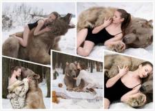 RT @ODNMalaysia: 【抱正妹拍照　宣导反狩猎】<br /><br />俄罗斯一名摄影师巴朗赛瓦(Olga Barantseva)近日拍摄一组作品，他让女模特儿真的被「熊抱」，並在莫斯科的雪地中进行拍摄。http://t.co/cucYTlpCDq http://t