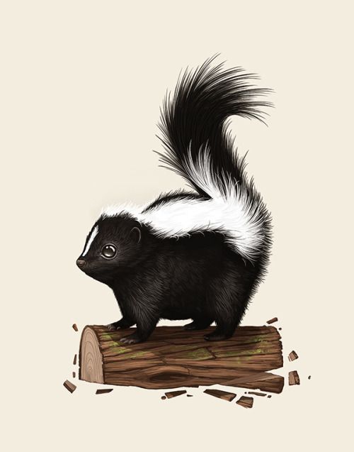 sirmitchell: Fat Kingdom: Striped Skunk