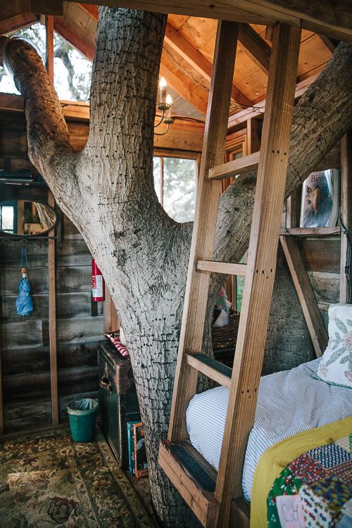 urbanoutfitters: This treehouse is our dreamhouse. (Photo by Daniel Dent)