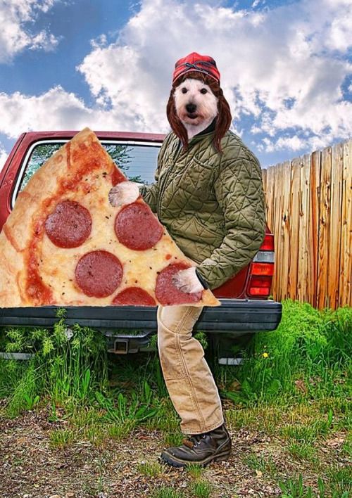 dog pizza man.