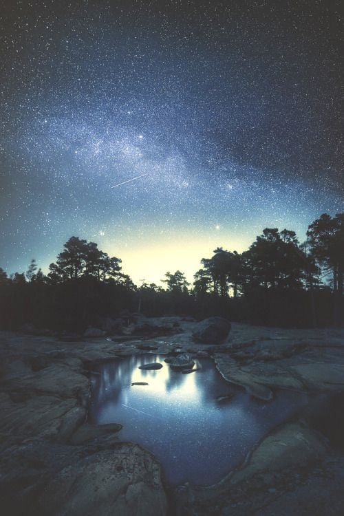 heaven-ly-mind: Sweet dreams are made of stars.