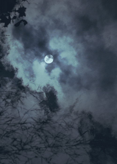 Moon in the night.
/tmp/UploadBetaywhxKR [Moon in the night.] url = http://38.media.tumblr.com/56e309f5fd51491d4c8ccf8a75b370fd/tumblr_ncuudplTo51tjsogwo1_500.gif

File Size (KB): 984.68 KB
Last Modified: November 26 2021 18:30:24
