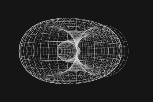 geometricfreedom: Rotation of a SHELL (wire-frame, perspective projection, full-res)