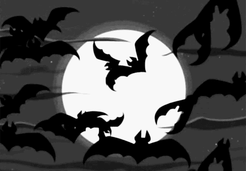 Bats flying from big white moon.