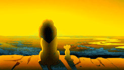 epitomeofdamon: My Top 25 Disney Animated/Pixar Films: 1. The Lion KingÂ (1994) âA kingâs time as ruler rises and falls like the sun. One day, Simba, the sun will set on my time here, and will rise with you as the new king.â