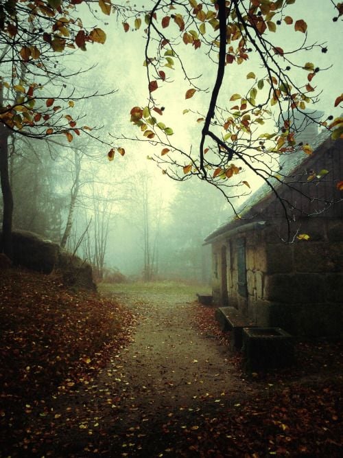 conceptworker: witchâs cottage (Zittauer Gebirge, 2014)