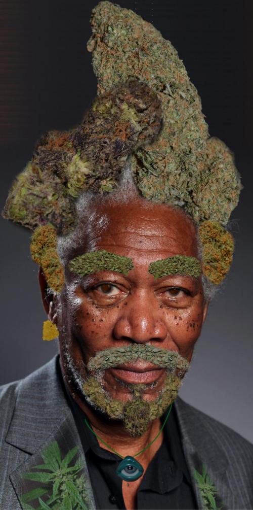 morgan weedman elf.
/tmp/UploadBeta0G6e2t [morgan weedman elf.] url = http://40.media.tumblr.com/cadbe18c05777647ce0580f10da3dc15/tumblr_n8z1htj30G1slaxdwo1_1280.png

File Size (KB): 618.37 KB
Last Modified: November 26 2021 18:30:33
