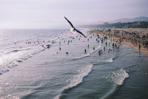 visualmischief: Santa Monica Beach | LA