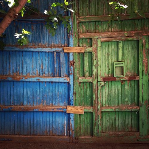 blue and green door to my home.