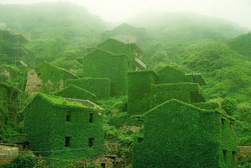 innocenttmaan: Shengsi, an archipelago of almost 400 islands at the mouth of Chinaâs Yangtze river, holds a secret shrouded in time â an abandoned fishing village being reclaimed by nature. These photos by Tang Yuhong, a creative photographer ba