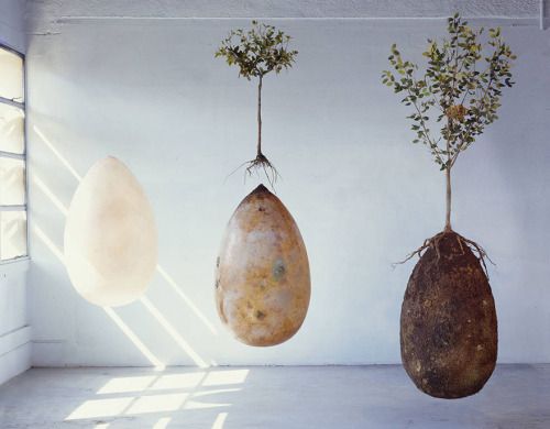 strangelfreak: Organic Burial Pods Will Turn Your Loved Ones Into Trees The idea of coming full circle and returning whence we came from is one that appeals to many of us, regardless of our faith (or lack thereof), and this is an idea captured perfectly b