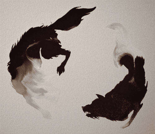 Yin and Yang dogs. @tumb.epicks.item.078024062514158.ws